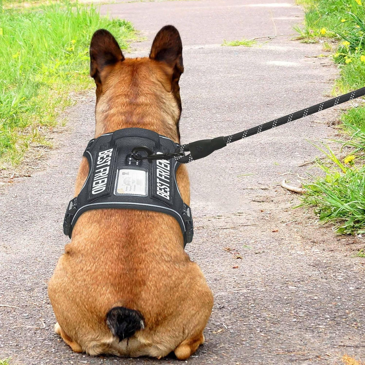 Beebiepet Heavy Duty Tactical Dog Harness for Small Dogs, No Pull Adjustable Pet Harness Reflective Service Training Easy Control Pet Vest Military K9 Working Dog Harnesses- Large, Brown