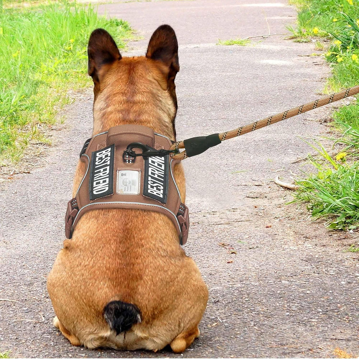 Beebiepet Heavy Duty Tactical Dog Harness for Small Dogs, No Pull Adjustable Pet Harness Reflective Service Training Easy Control Pet Vest Military K9 Working Dog Harnesses- Large, Brown