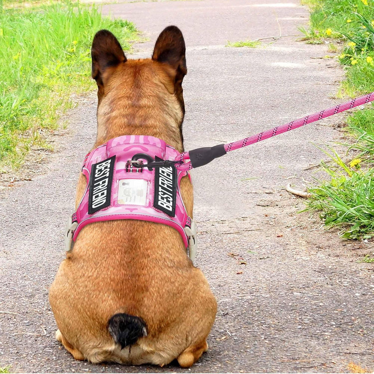 Beebiepet Heavy Duty Tactical Dog Harness for Small Dogs, No Pull Adjustable Pet Harness Reflective Service Training Easy Control Pet Vest Military K9 Working Dog Harnesses- Large, Brown