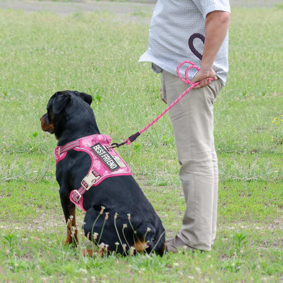 Beebiepet Heavy Duty Tactical Dog Harness for Small Dogs, No Pull Adjustable Pet Harness Reflective Service Training Easy Control Pet Vest Military K9 Working Dog Harnesses- Large, Brown