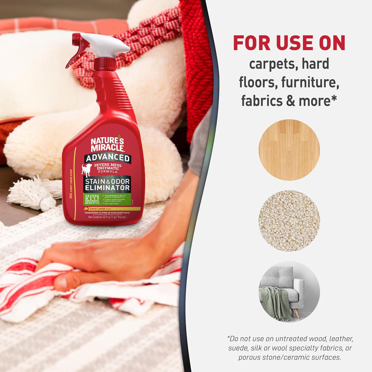 Advanced Dog Stain & Odor Eliminator, Severe Mess, 32 oz