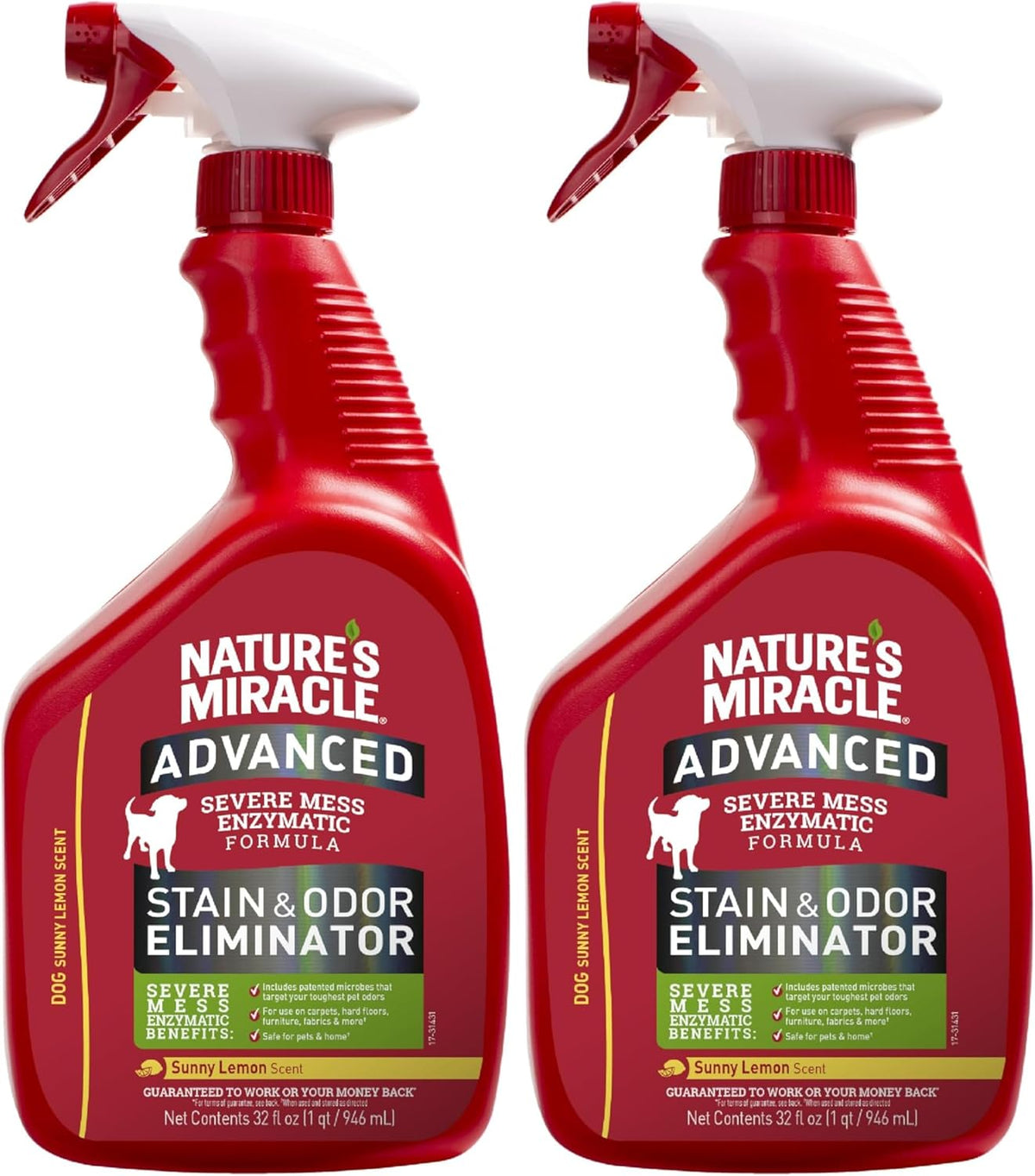 Advanced Dog Stain & Odor Eliminator, Severe Mess, 32 oz