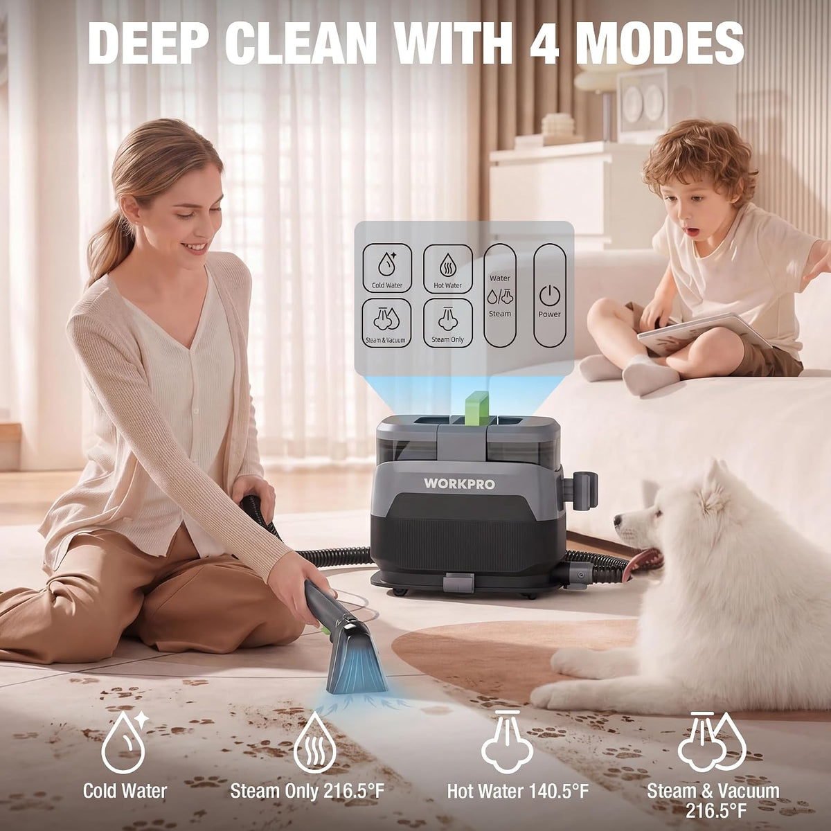 16KPa Steam Carpet & Upholstery Cleaner, Steam & Heating System
