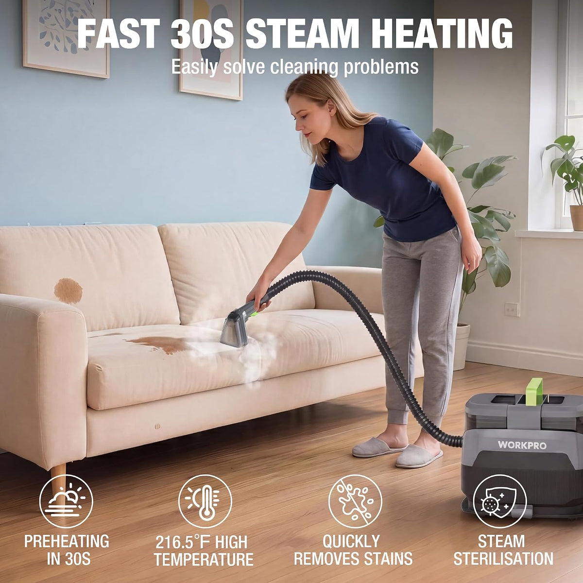16KPa Steam Carpet & Upholstery Cleaner, Steam & Heating System