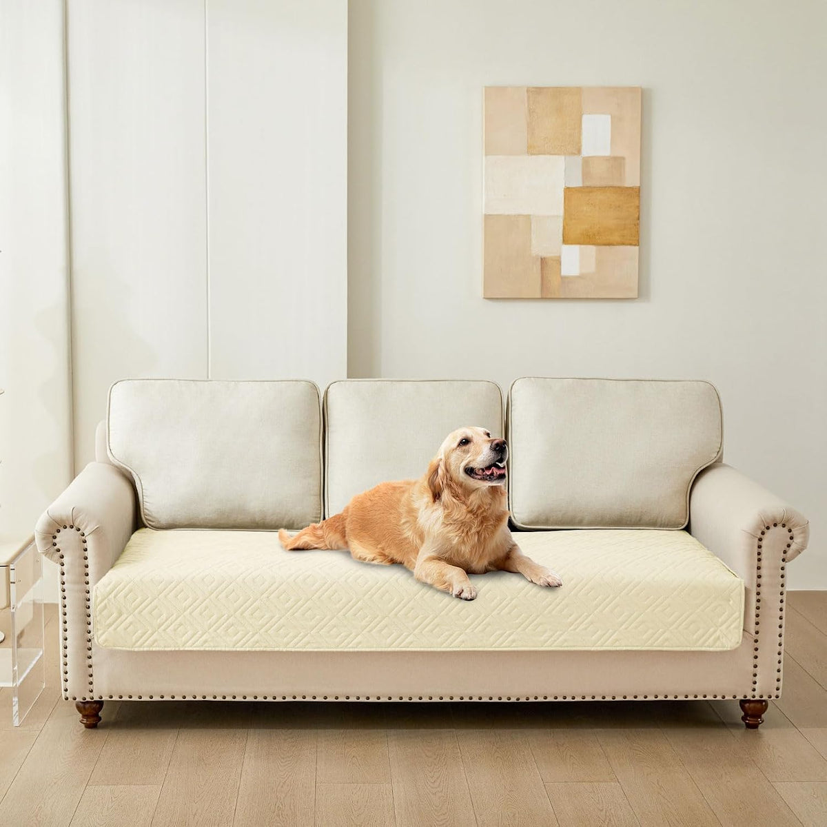 Waterproof Reversible Dog Blanket, Pet Blanket for Sofa Couch | Waterproof Protection, Soft Fabric, Reversible Design, Washable, Sofa Protection from Pet Hair & Messes (30x70 Inch)