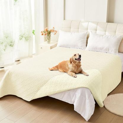 Waterproof Reversible Dog Blanket, Pet Blanket for Sofa Couch | Waterproof Protection, Soft Fabric, Reversible Design, Washable, Sofa Protection from Pet Hair & Messes (30x70 Inch)