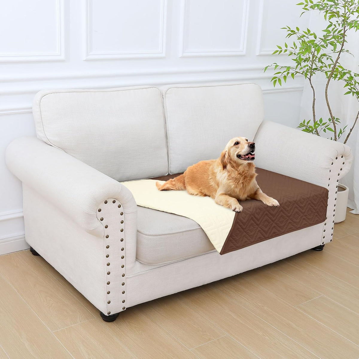 Waterproof Reversible Dog Blanket, Pet Blanket for Sofa Couch | Waterproof Protection, Soft Fabric, Reversible Design, Washable, Sofa Protection from Pet Hair & Messes (30x70 Inch)