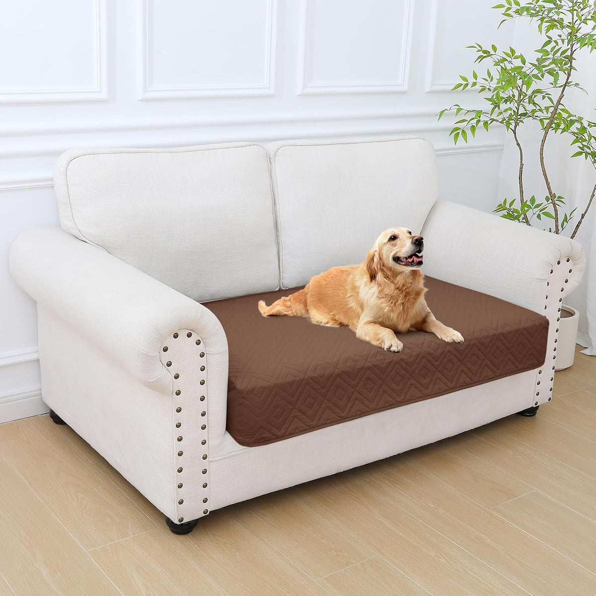 Waterproof Reversible Dog Blanket, Pet Blanket for Sofa Couch | Waterproof Protection, Soft Fabric, Reversible Design, Washable, Sofa Protection from Pet Hair & Messes (30x70 Inch)