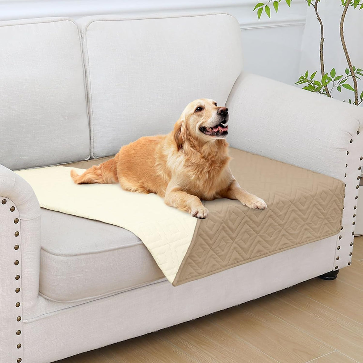Waterproof Reversible Dog Blanket, Pet Blanket for Sofa Couch | Waterproof Protection, Soft Fabric, Reversible Design, Washable, Sofa Protection from Pet Hair & Messes (30x70 Inch)