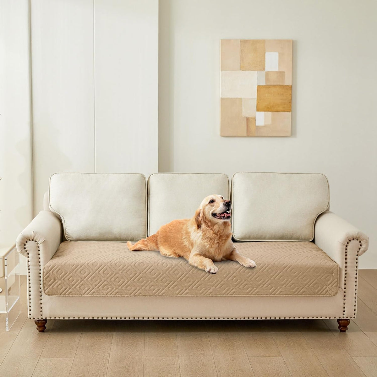 Waterproof Reversible Dog Blanket, Pet Blanket for Sofa Couch | Waterproof Protection, Soft Fabric, Reversible Design, Washable, Sofa Protection from Pet Hair & Messes (30x70 Inch)