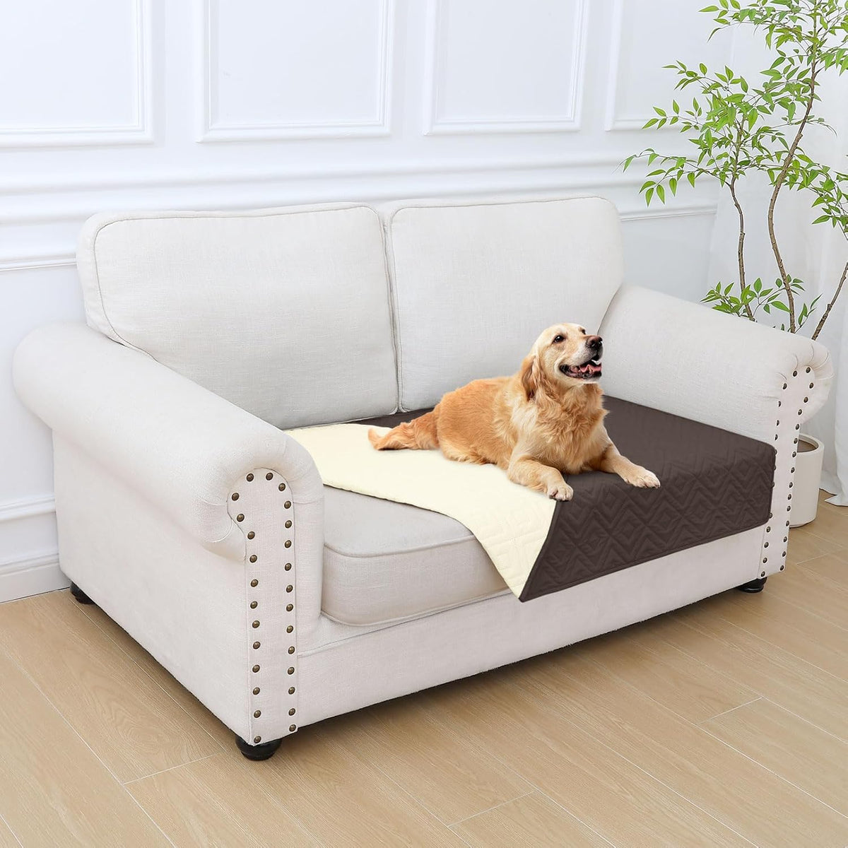 Waterproof Reversible Dog Blanket, Pet Blanket for Sofa Couch | Waterproof Protection, Soft Fabric, Reversible Design, Washable, Sofa Protection from Pet Hair & Messes (30x70 Inch)