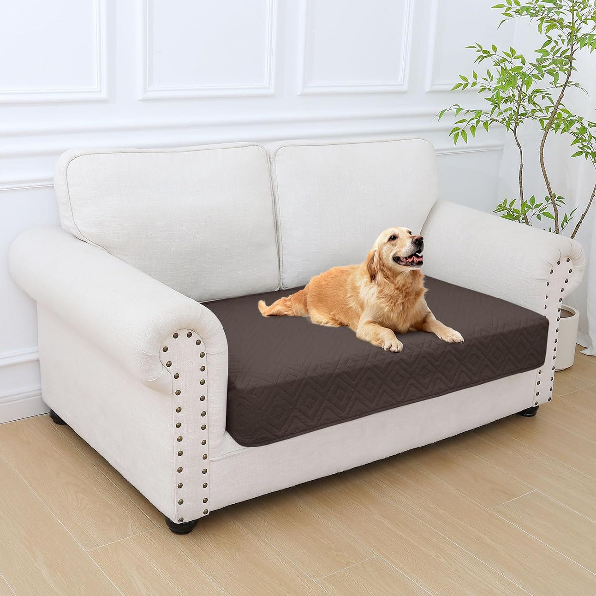 Waterproof Reversible Dog Blanket, Pet Blanket for Sofa Couch | Waterproof Protection, Soft Fabric, Reversible Design, Washable, Sofa Protection from Pet Hair & Messes (30x70 Inch)