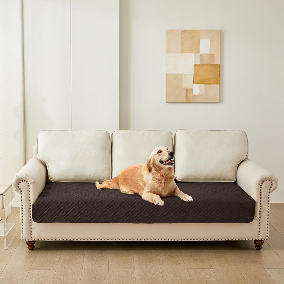Waterproof Reversible Dog Blanket, Pet Blanket for Sofa Couch | Waterproof Protection, Soft Fabric, Reversible Design, Washable, Sofa Protection from Pet Hair & Messes (30x70 Inch)