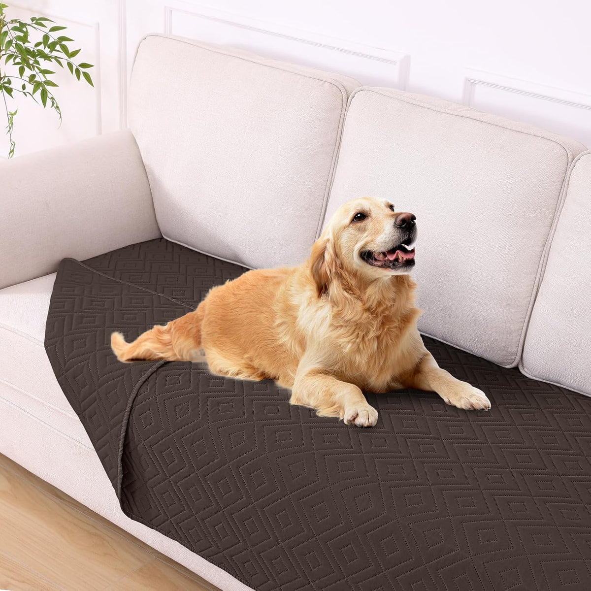 Waterproof Reversible Dog Blanket, Pet Blanket for Sofa Couch | Waterproof Protection, Soft Fabric, Reversible Design, Washable, Sofa Protection from Pet Hair & Messes (30x70 Inch)