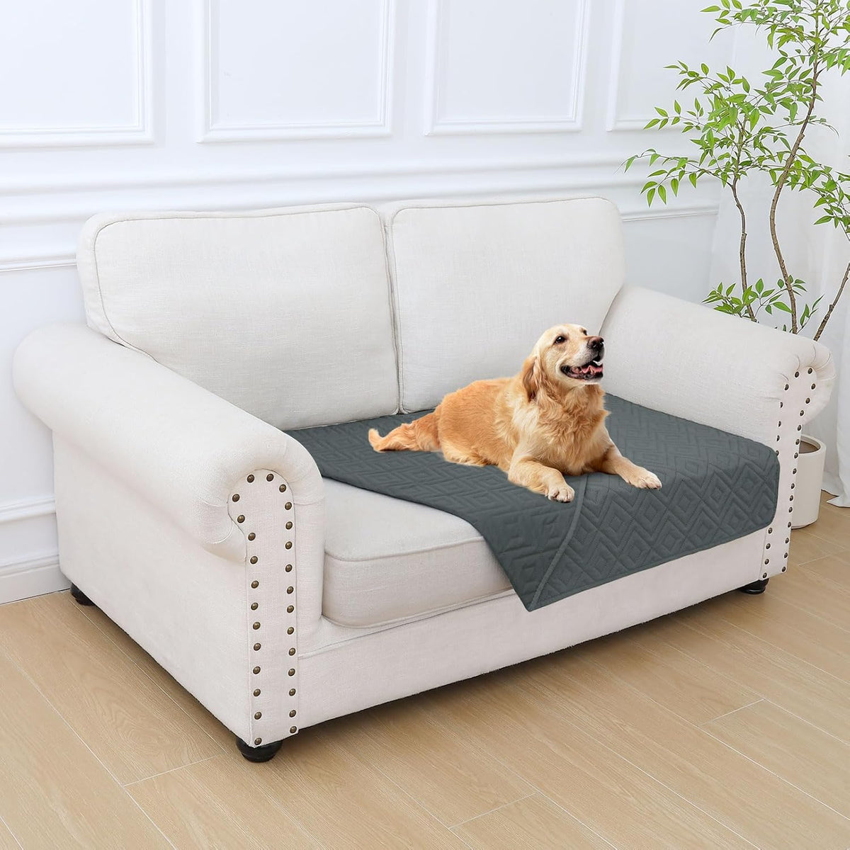 Waterproof Reversible Dog Blanket, Pet Blanket for Sofa Couch | Waterproof Protection, Soft Fabric, Reversible Design, Washable, Sofa Protection from Pet Hair & Messes (30x70 Inch)