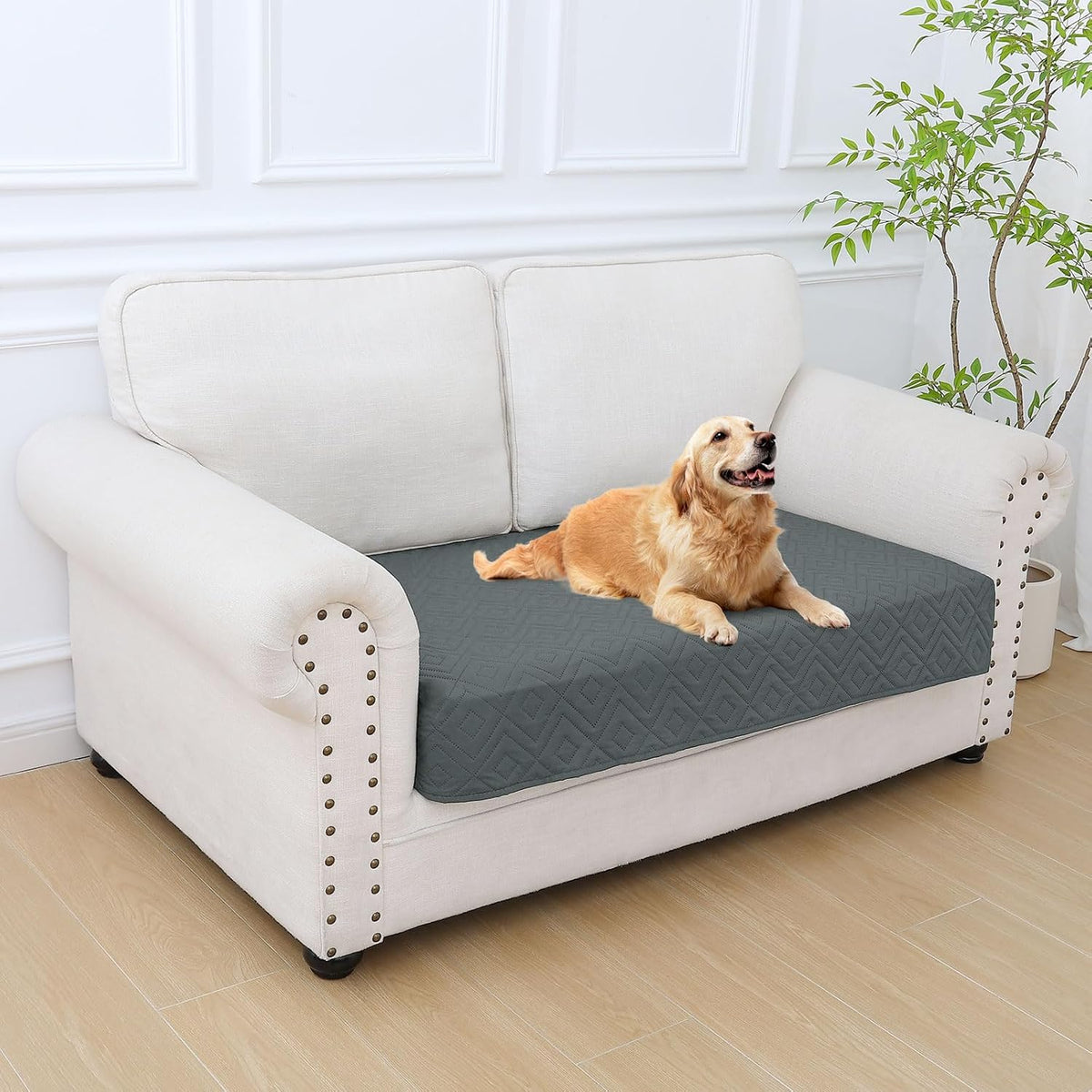 Waterproof Reversible Dog Blanket, Pet Blanket for Sofa Couch | Waterproof Protection, Soft Fabric, Reversible Design, Washable, Sofa Protection from Pet Hair & Messes (30x70 Inch)
