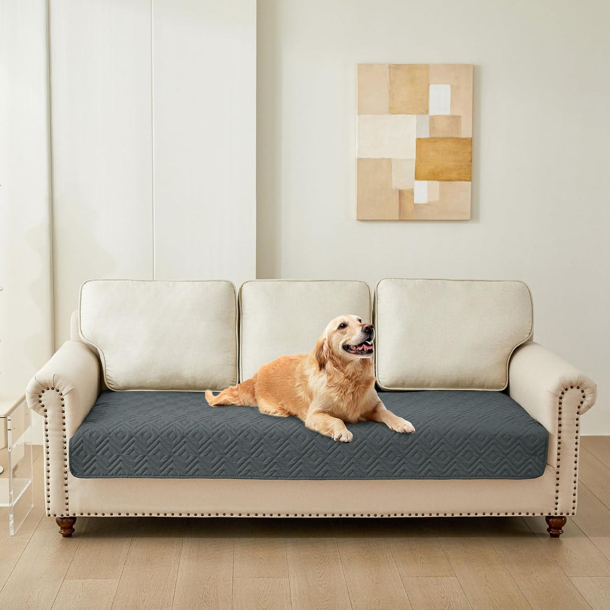 Waterproof Reversible Dog Blanket, Pet Blanket for Sofa Couch | Waterproof Protection, Soft Fabric, Reversible Design, Washable, Sofa Protection from Pet Hair & Messes (30x70 Inch)