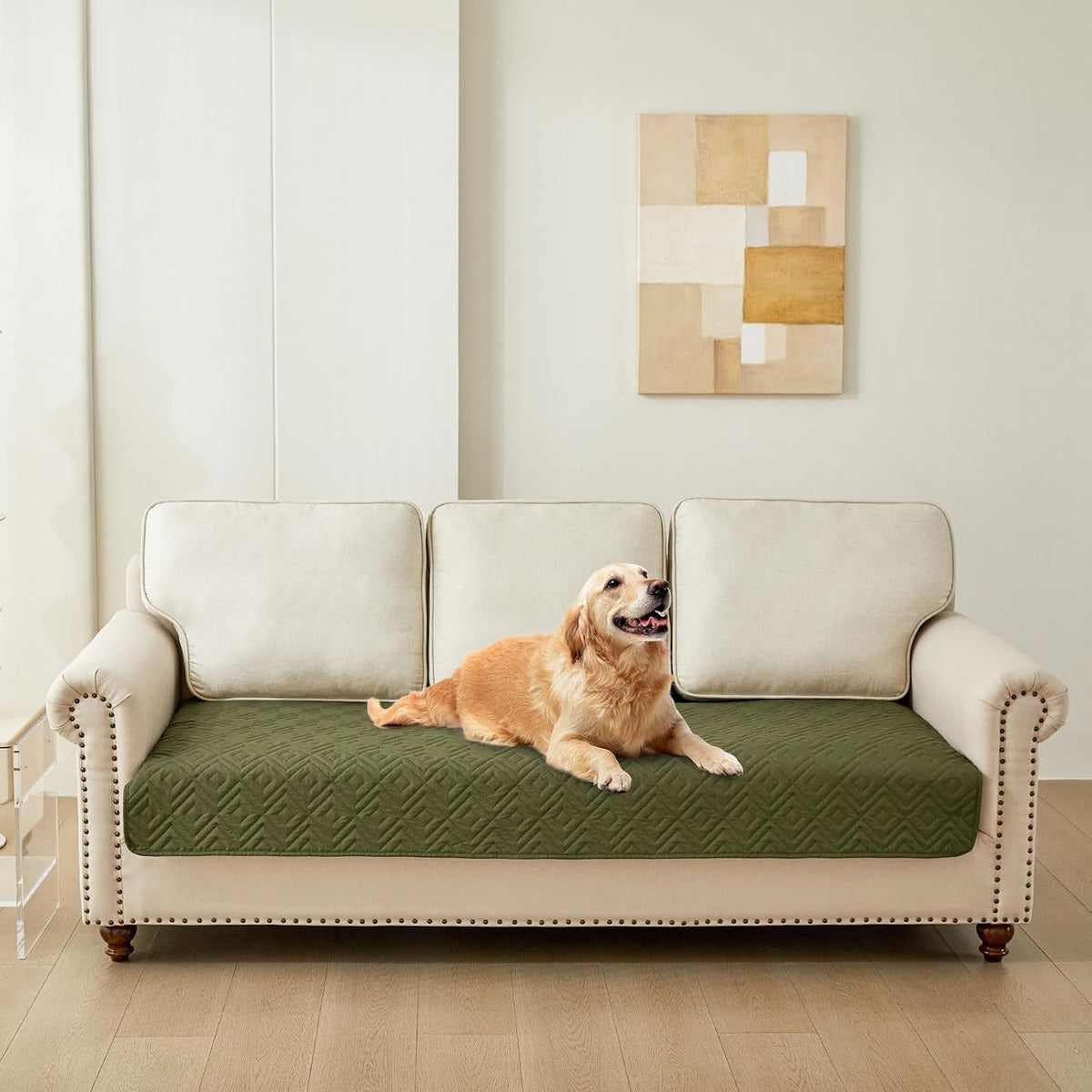 Waterproof Reversible Dog Blanket, Pet Blanket for Sofa Couch | Waterproof Protection, Soft Fabric, Reversible Design, Washable, Sofa Protection from Pet Hair & Messes (30x70 Inch)