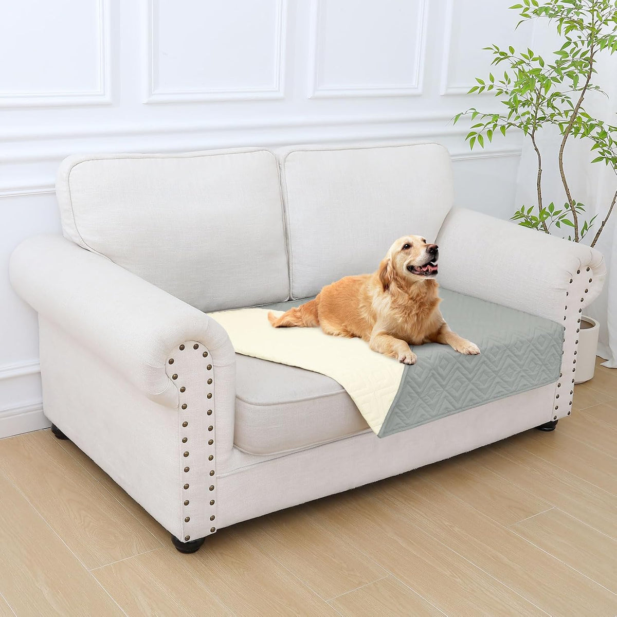 Waterproof Reversible Dog Blanket, Pet Blanket for Sofa Couch | Waterproof Protection, Soft Fabric, Reversible Design, Washable, Sofa Protection from Pet Hair & Messes (30x70 Inch)
