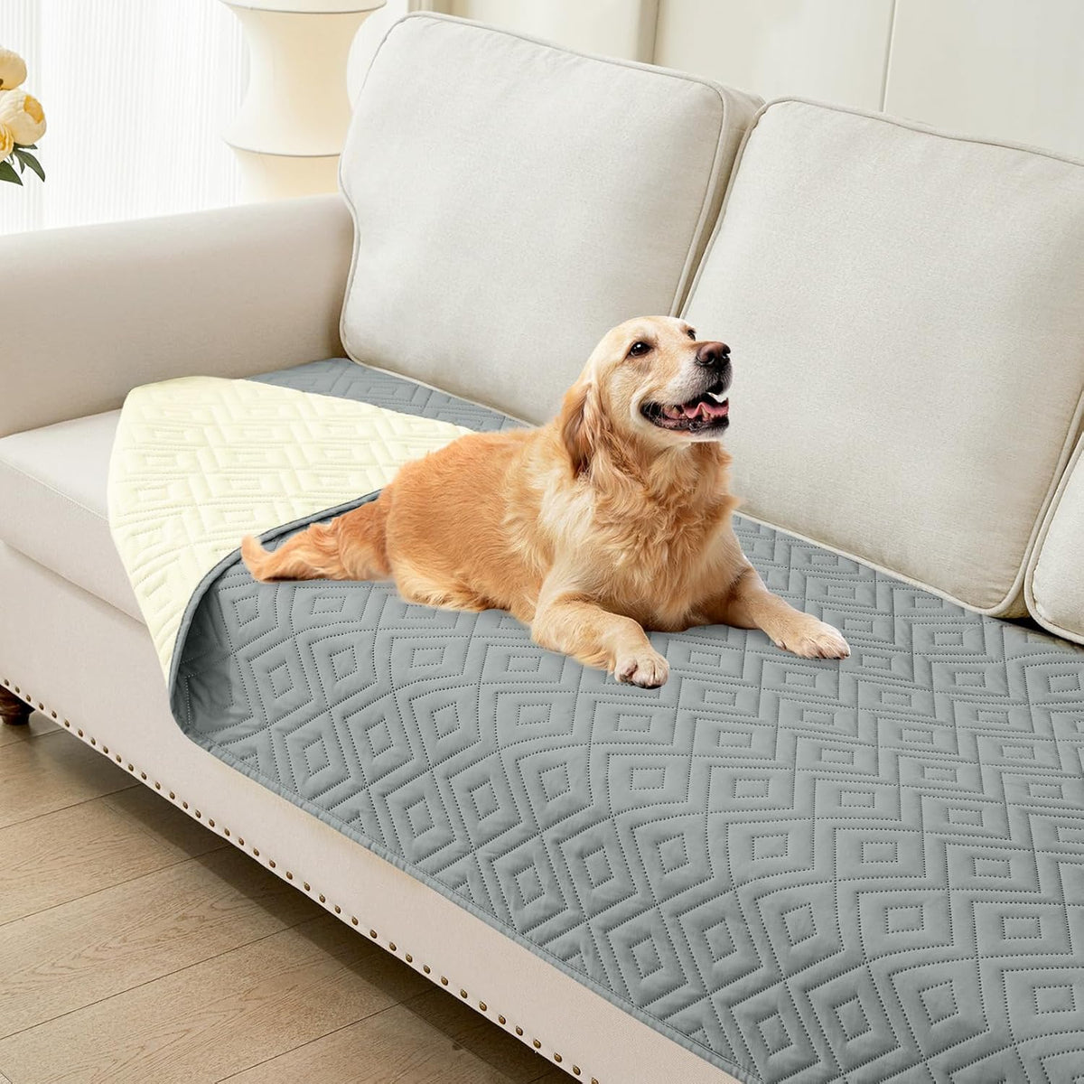 Waterproof Reversible Dog Blanket, Pet Blanket for Sofa Couch | Waterproof Protection, Soft Fabric, Reversible Design, Washable, Sofa Protection from Pet Hair & Messes (30x70 Inch)
