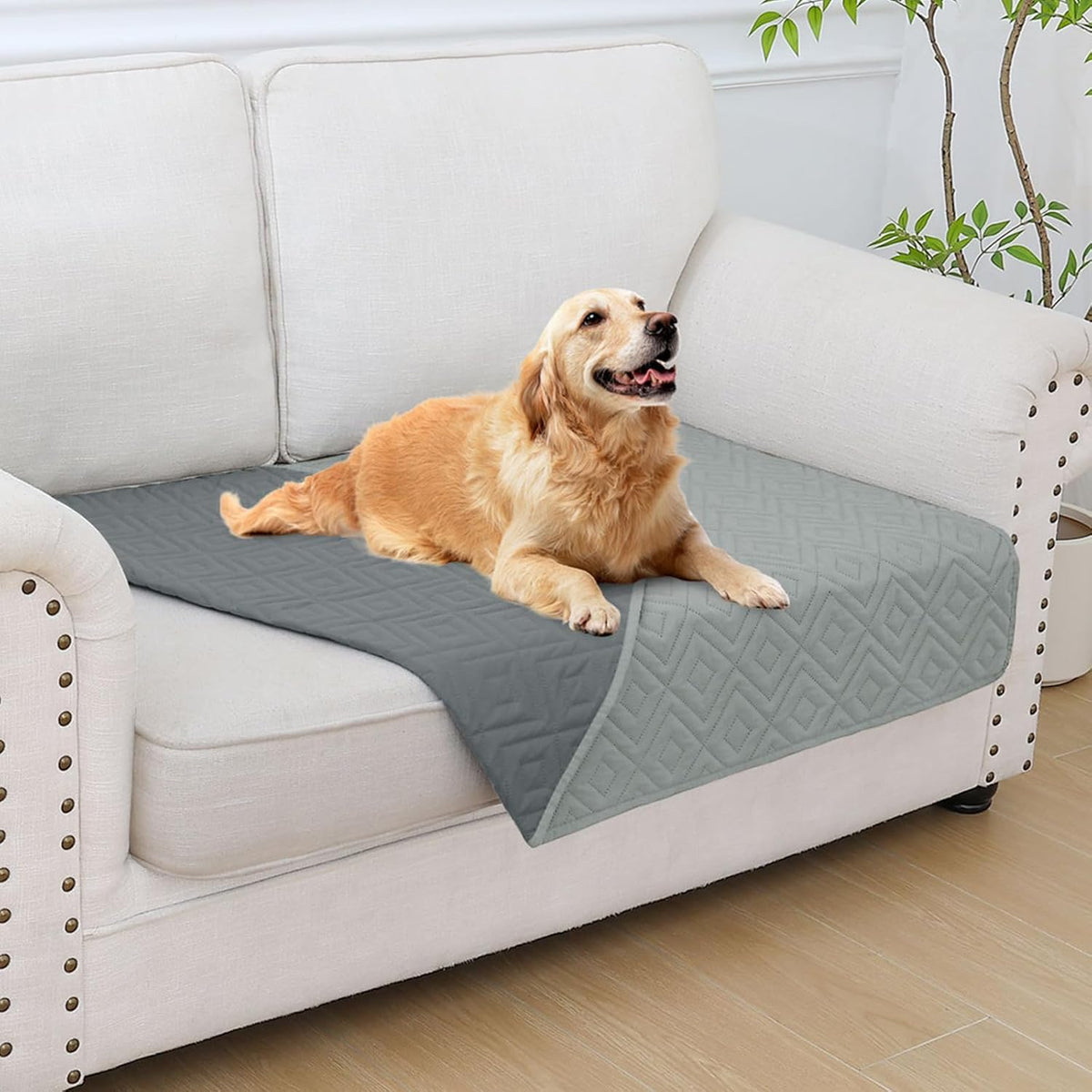 Waterproof Reversible Dog Blanket, Pet Blanket for Sofa Couch | Waterproof Protection, Soft Fabric, Reversible Design, Washable, Sofa Protection from Pet Hair & Messes (30x70 Inch)