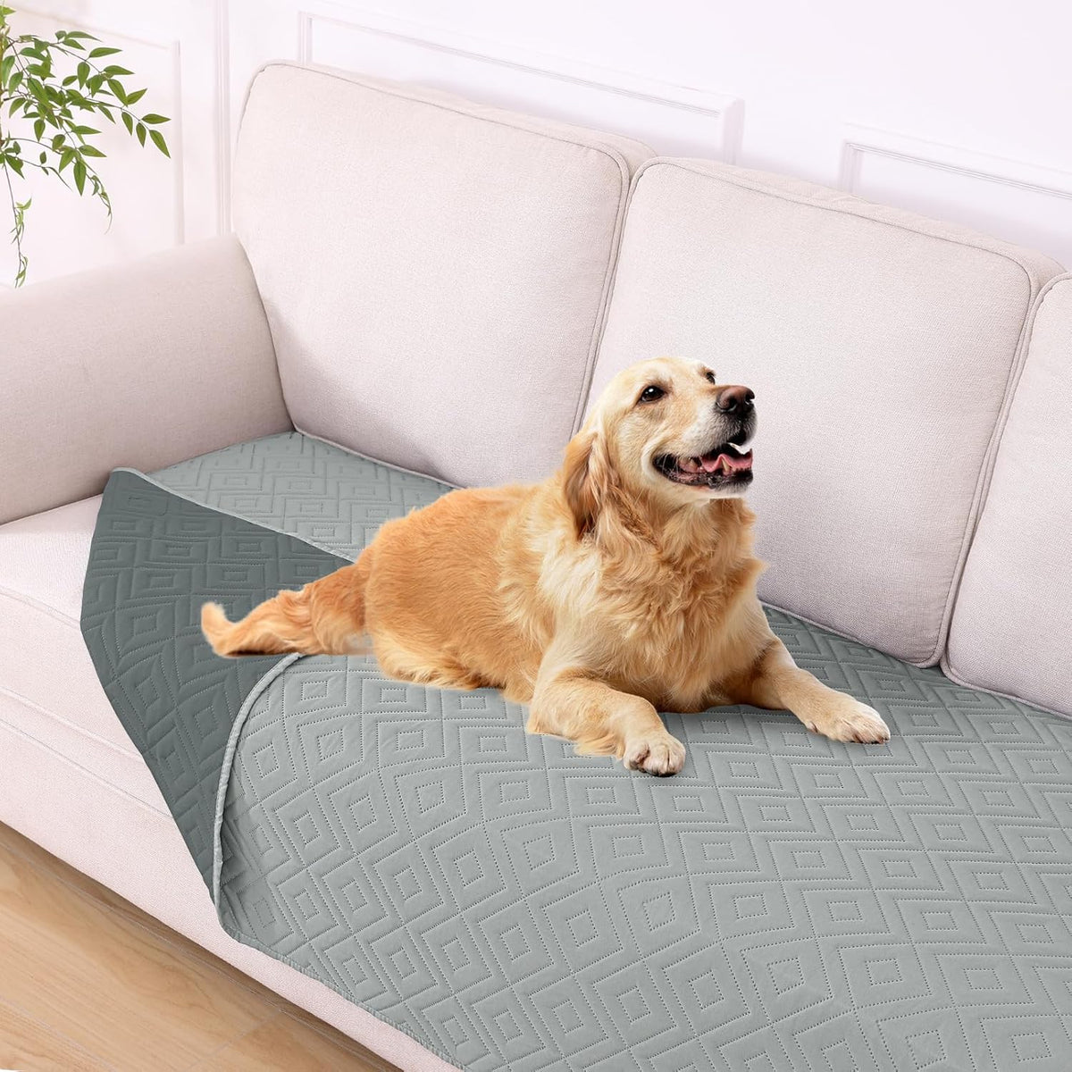 Waterproof Reversible Dog Blanket, Pet Blanket for Sofa Couch | Waterproof Protection, Soft Fabric, Reversible Design, Washable, Sofa Protection from Pet Hair & Messes (30x70 Inch)