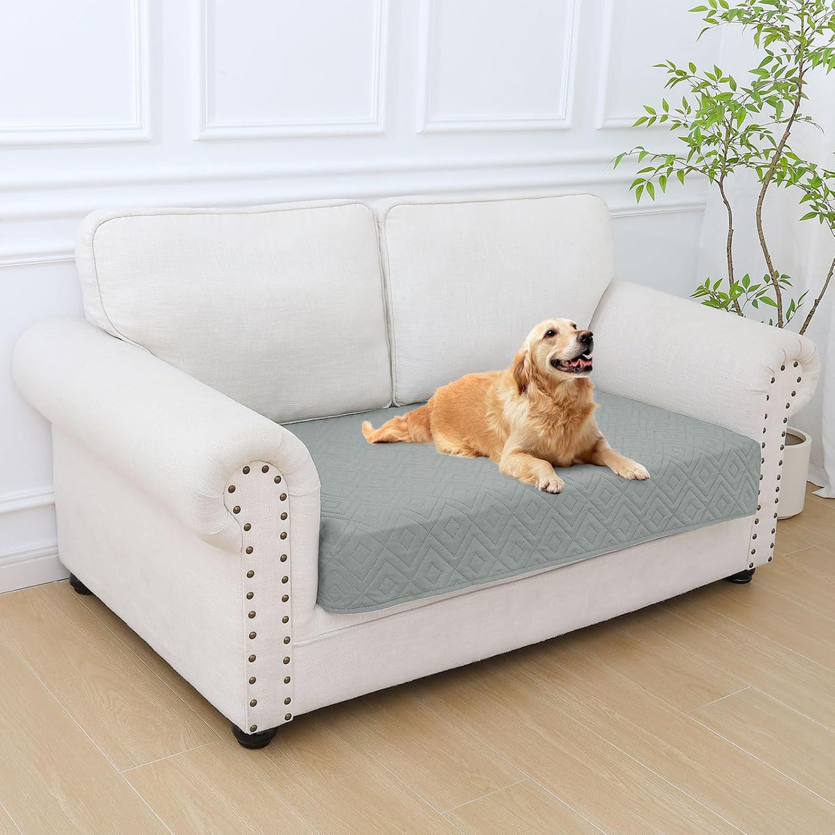 Waterproof Reversible Dog Blanket, Pet Blanket for Sofa Couch | Waterproof Protection, Soft Fabric, Reversible Design, Washable, Sofa Protection from Pet Hair & Messes (30x70 Inch)