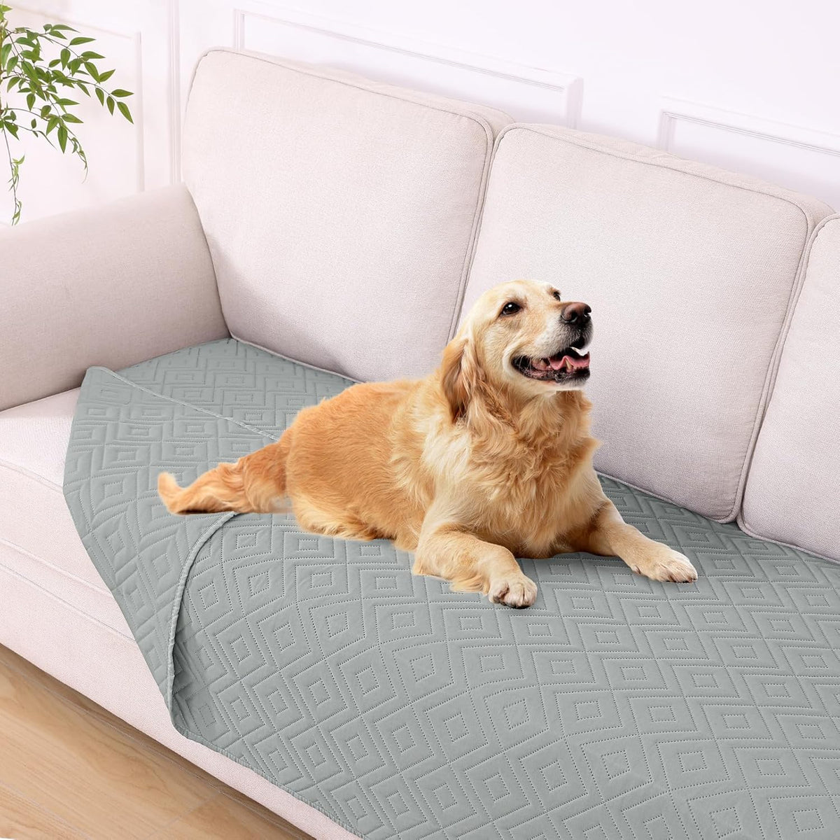 Waterproof Reversible Dog Blanket, Pet Blanket for Sofa Couch | Waterproof Protection, Soft Fabric, Reversible Design, Washable, Sofa Protection from Pet Hair & Messes (30x70 Inch)