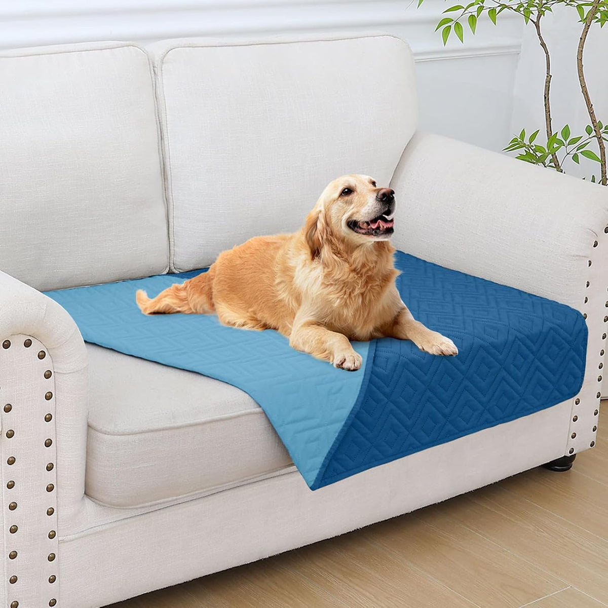 Waterproof Reversible Dog Blanket, Pet Blanket for Sofa Couch | Waterproof Protection, Soft Fabric, Reversible Design, Washable, Sofa Protection from Pet Hair & Messes (30x70 Inch)
