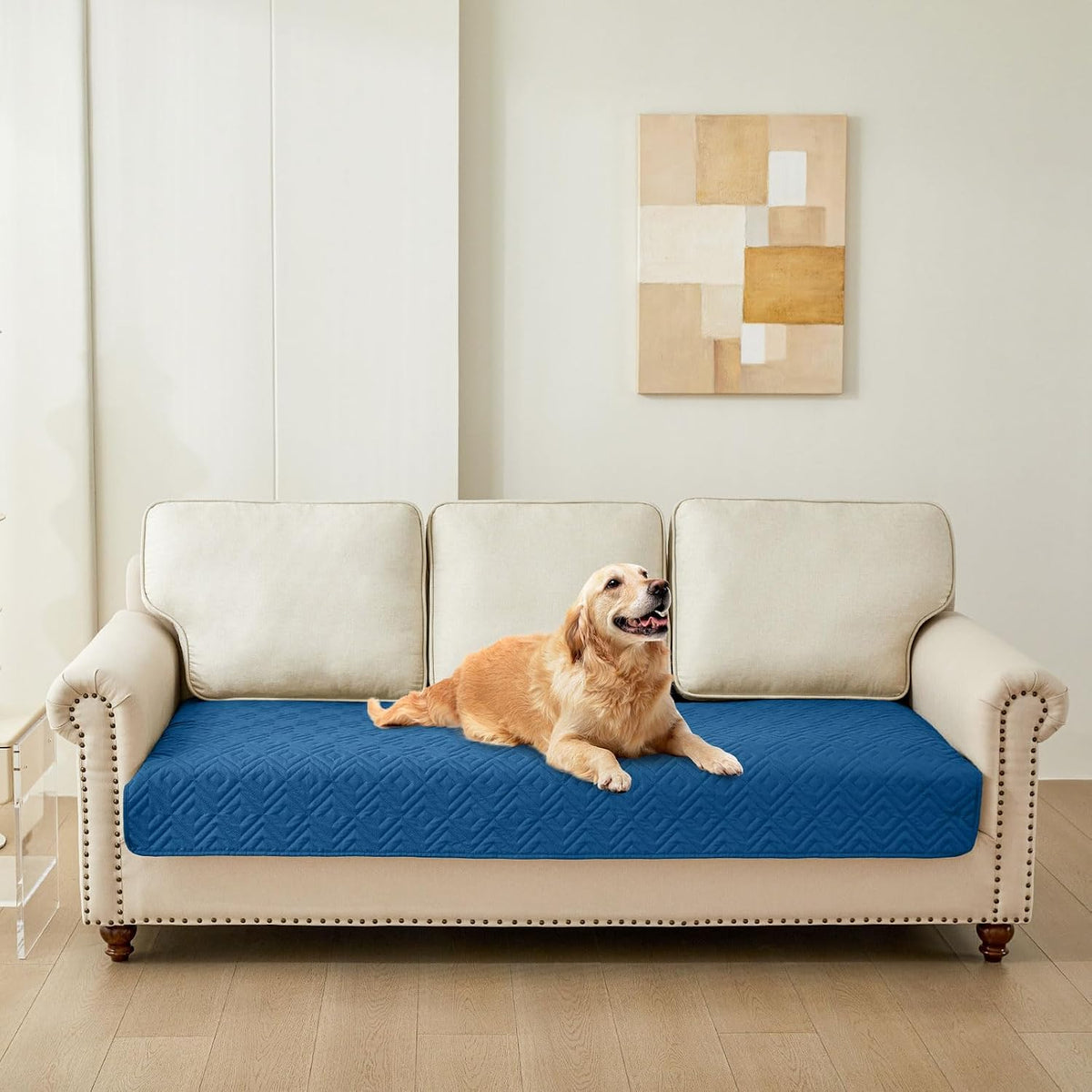 Waterproof Reversible Dog Blanket, Pet Blanket for Sofa Couch | Waterproof Protection, Soft Fabric, Reversible Design, Washable, Sofa Protection from Pet Hair & Messes (30x70 Inch)