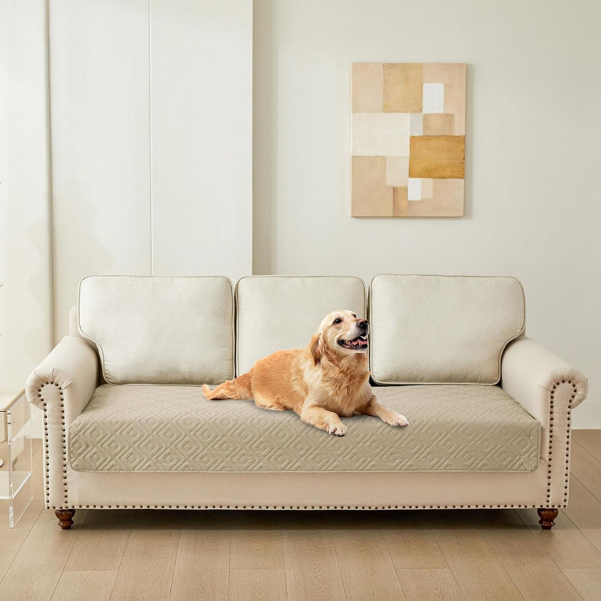 Waterproof Reversible Dog Blanket, Pet Blanket for Sofa Couch | Waterproof Protection, Soft Fabric, Reversible Design, Washable, Sofa Protection from Pet Hair & Messes (30x70 Inch)