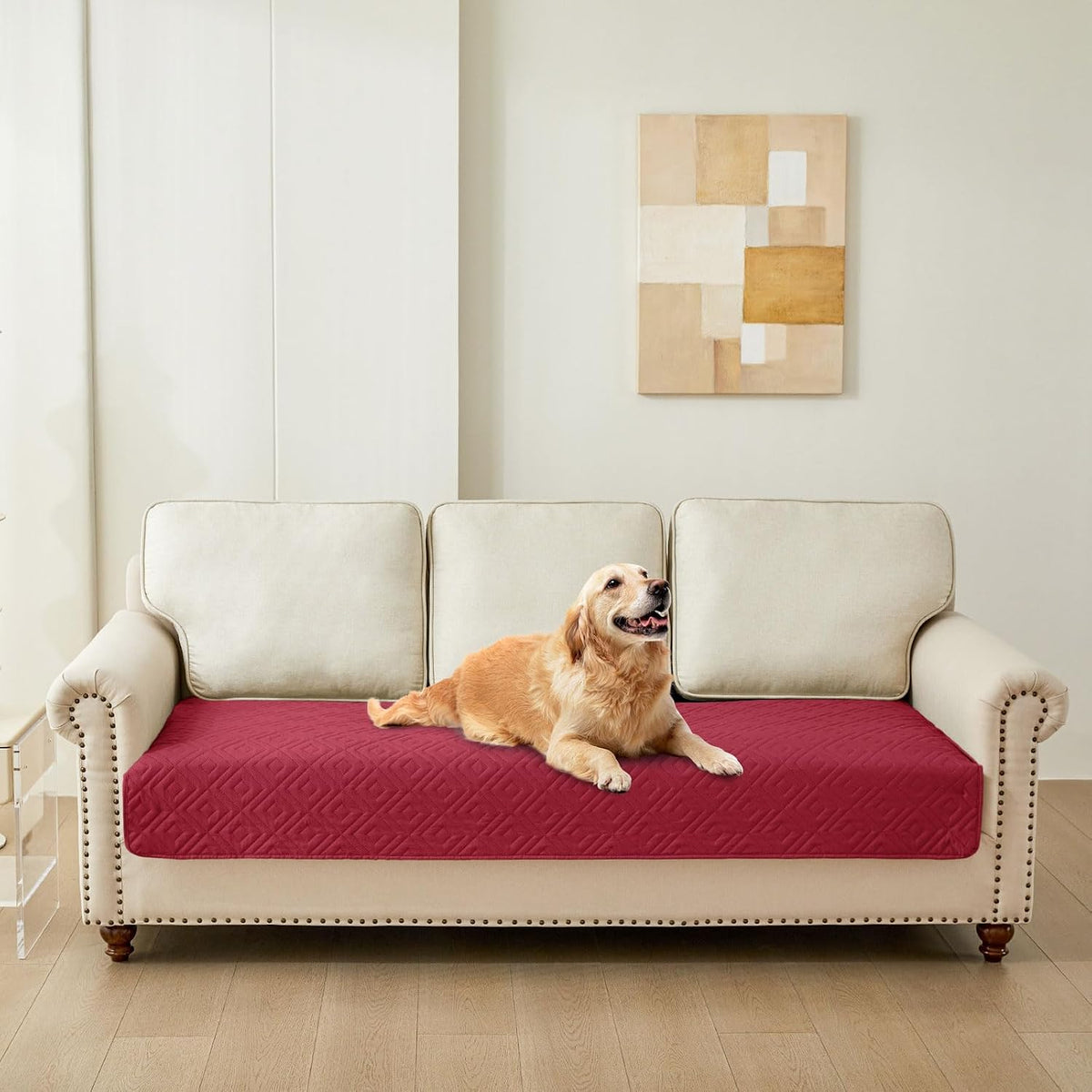 Waterproof Reversible Dog Blanket, Pet Blanket for Sofa Couch | Waterproof Protection, Soft Fabric, Reversible Design, Washable, Sofa Protection from Pet Hair & Messes (30x70 Inch)