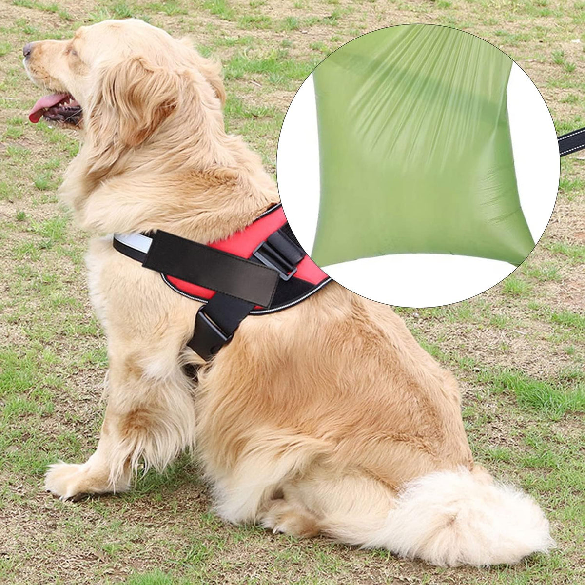 2 Pack Dog Poop Bag Dispenser with Built-in LED Flashlight, Pet Waste Bag Holder for Leash with Carabiner Clip for Lead Leash, 2 Rolls Leak-proof Doggy Waste Bags for Dog Walking, Blue