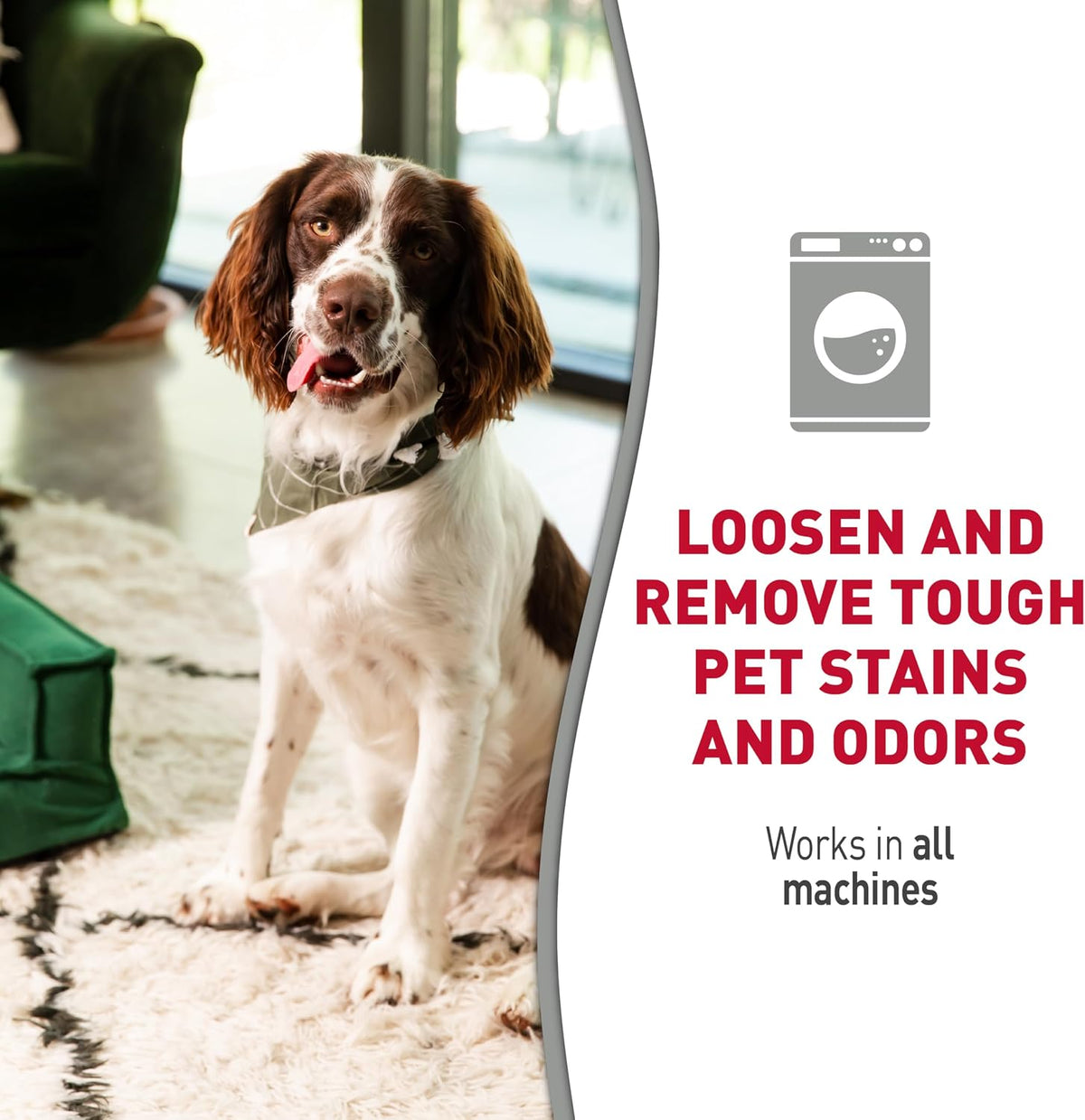 Laundry Boost In-Wash Pet Stain & Odor Remover, 32 oz
