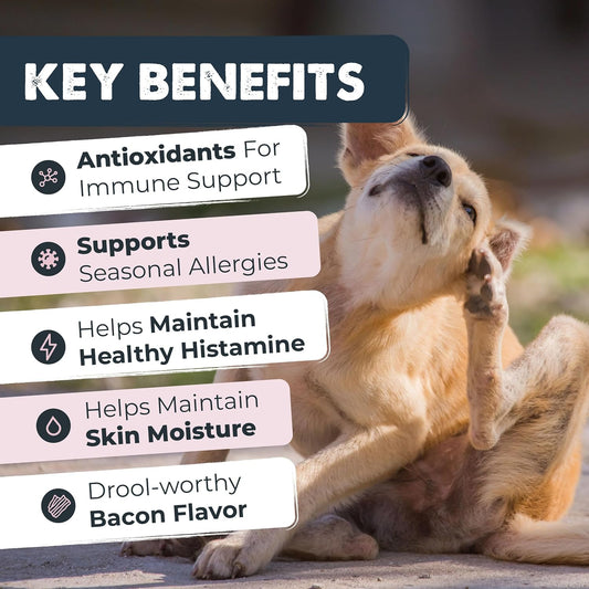 Dog Allergy Chews, Itch Relief & Immune Support, 120ct