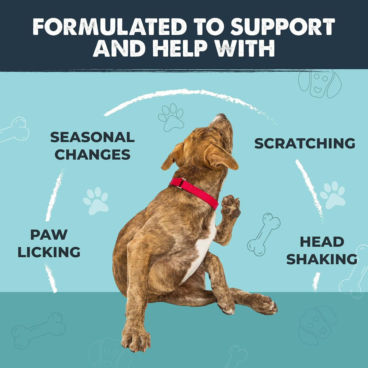 Dog Allergy Chews, Itch Relief & Immune Support, 120ct
