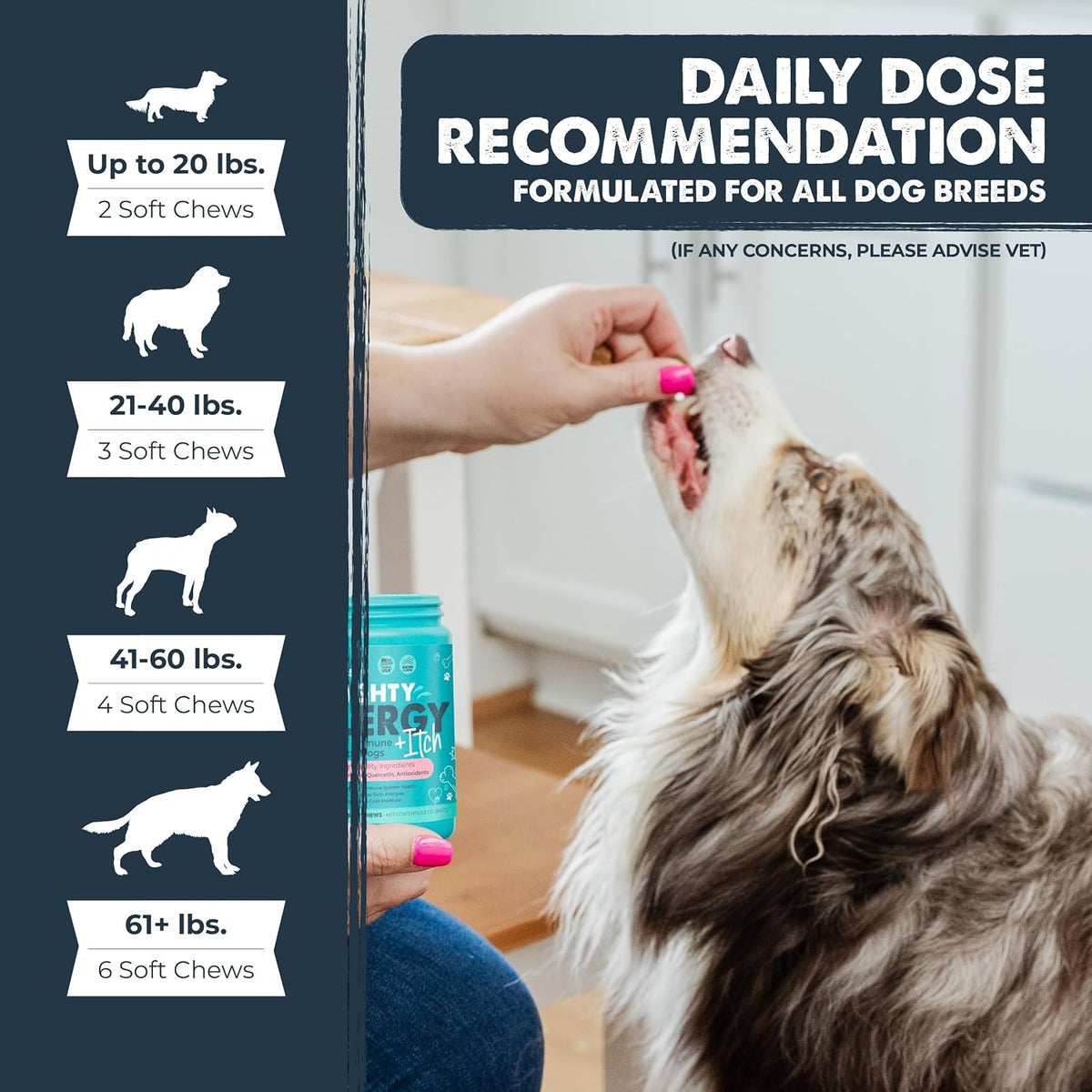 Dog Allergy Chews, Itch Relief & Immune Support, 120ct
