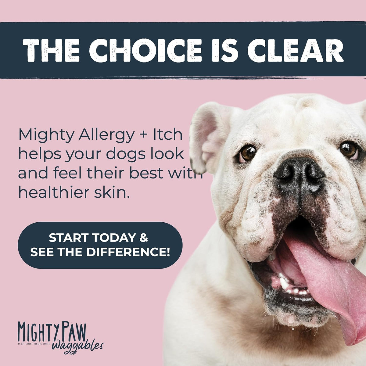 Dog Allergy Chews, Itch Relief & Immune Support, 120ct