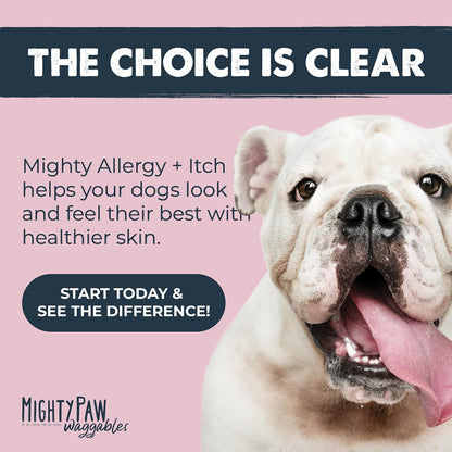 Dog Allergy Chews, Itch Relief & Immune Support, 120ct