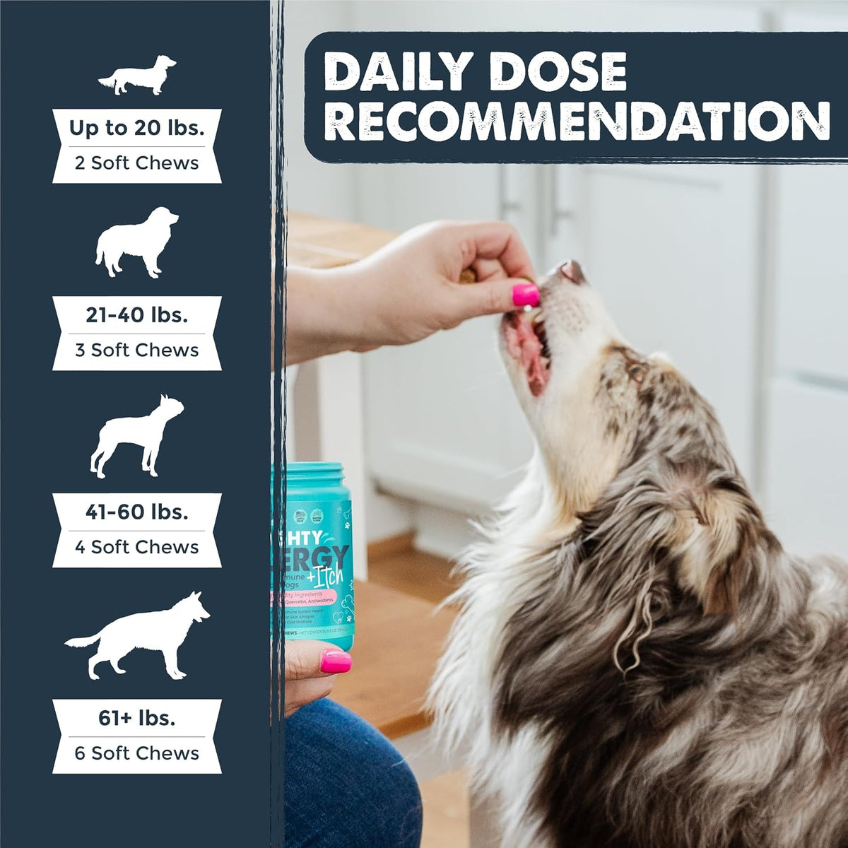 Dog Allergy Chews, Itch Relief & Immune Support, 120ct