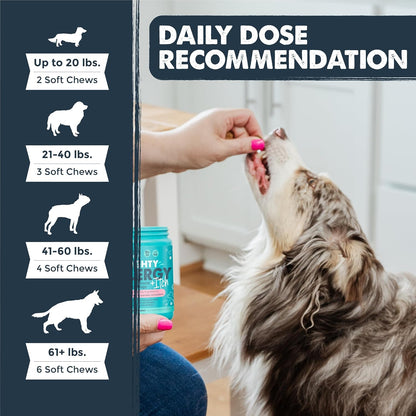 Dog Allergy Chews, Itch Relief & Immune Support, 120ct