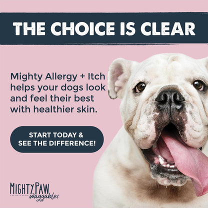 Dog Allergy Chews, Itch Relief & Immune Support, 120ct