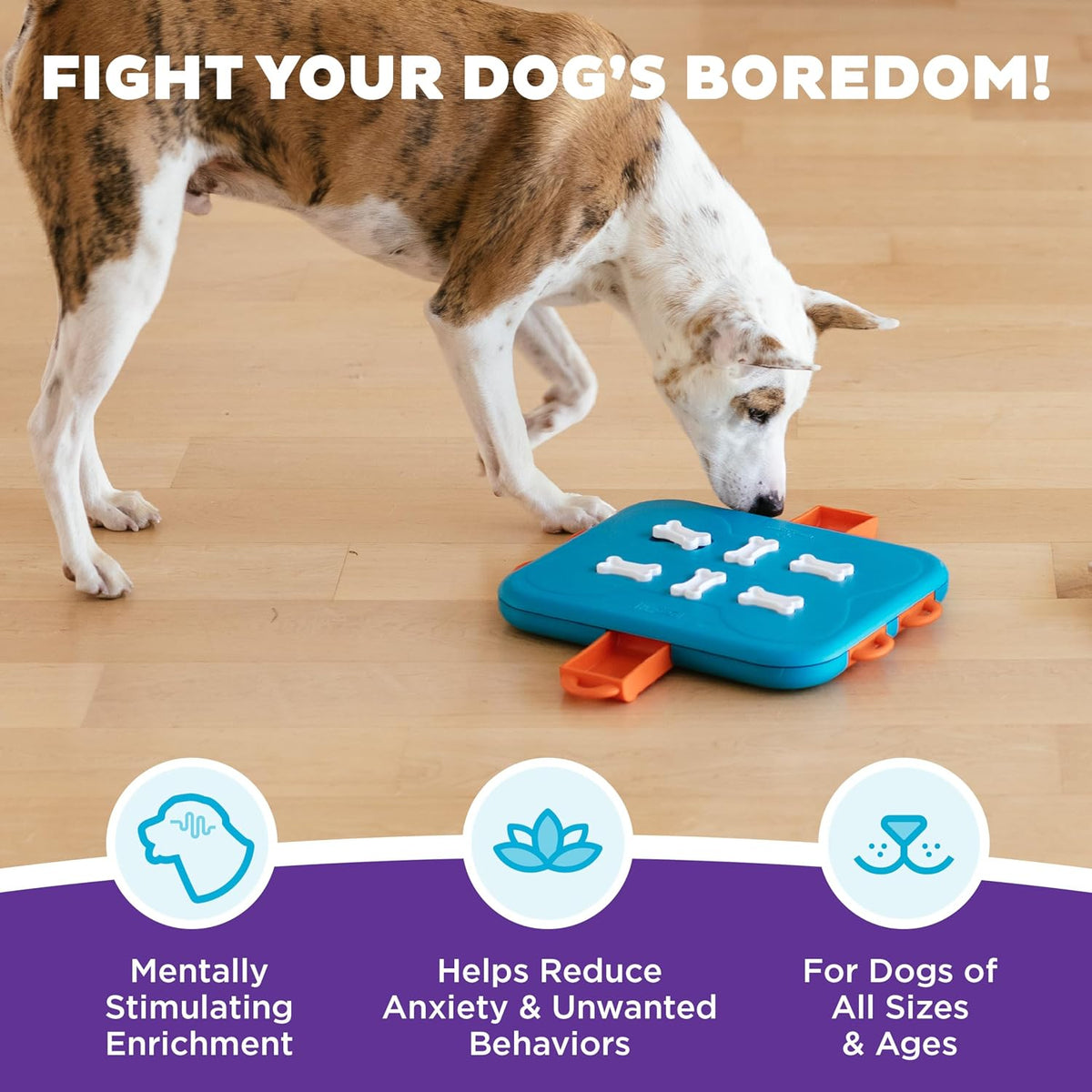Nina Ottosson Dog Hide N' Slide Dog Toy Treat Puzzle, 11.6"