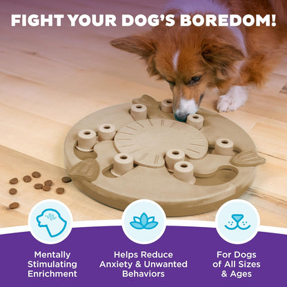 Nina Ottosson Dog Hide N' Slide Dog Toy Treat Puzzle, 11.6"