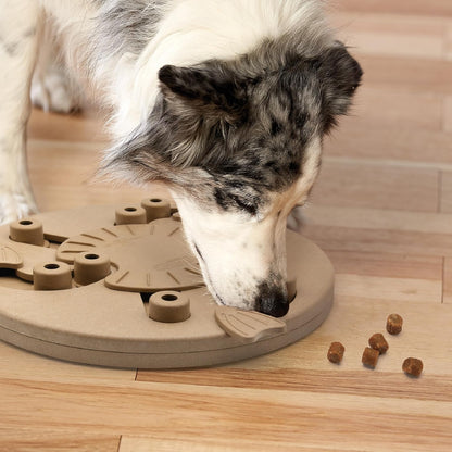 Nina Ottosson Dog Hide N' Slide Dog Toy Treat Puzzle, 11.6"