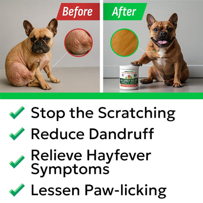 Dog Allergy Relief Chews - Skin Health & Anti-Itch Supplement with Omega-3