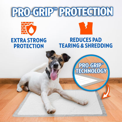 ! PetCare XXL Puppy Pads, Heavy Duty Pee Pads for Dogs, 26x30, 30 Count