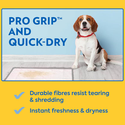 ! PetCare XXL Puppy Pads, Heavy Duty Pee Pads for Dogs, 26x30, 30 Count