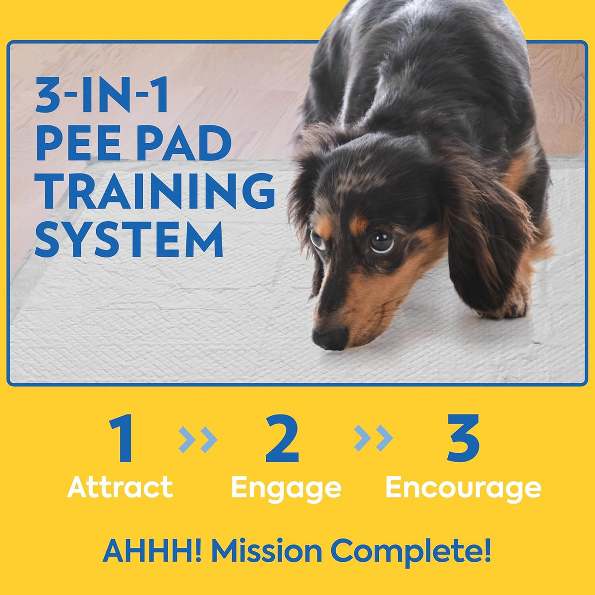 ! PetCare XXL Puppy Pads, Heavy Duty Pee Pads for Dogs, 26x30, 30 Count