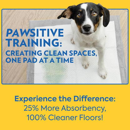 ! PetCare XXL Puppy Pads, Heavy Duty Pee Pads for Dogs, 26x30, 30 Count